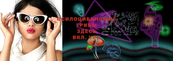 метамфетамин Покачи