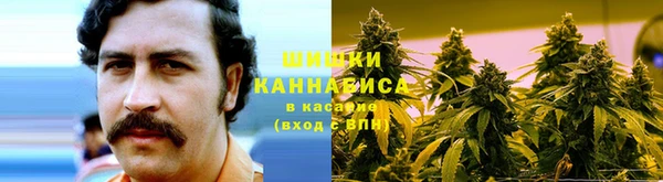 СК Покров