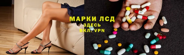СК Покров