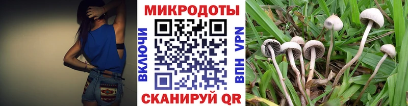 Купить закладки  Светогорск  Галлюциногенные грибы Cubensis 